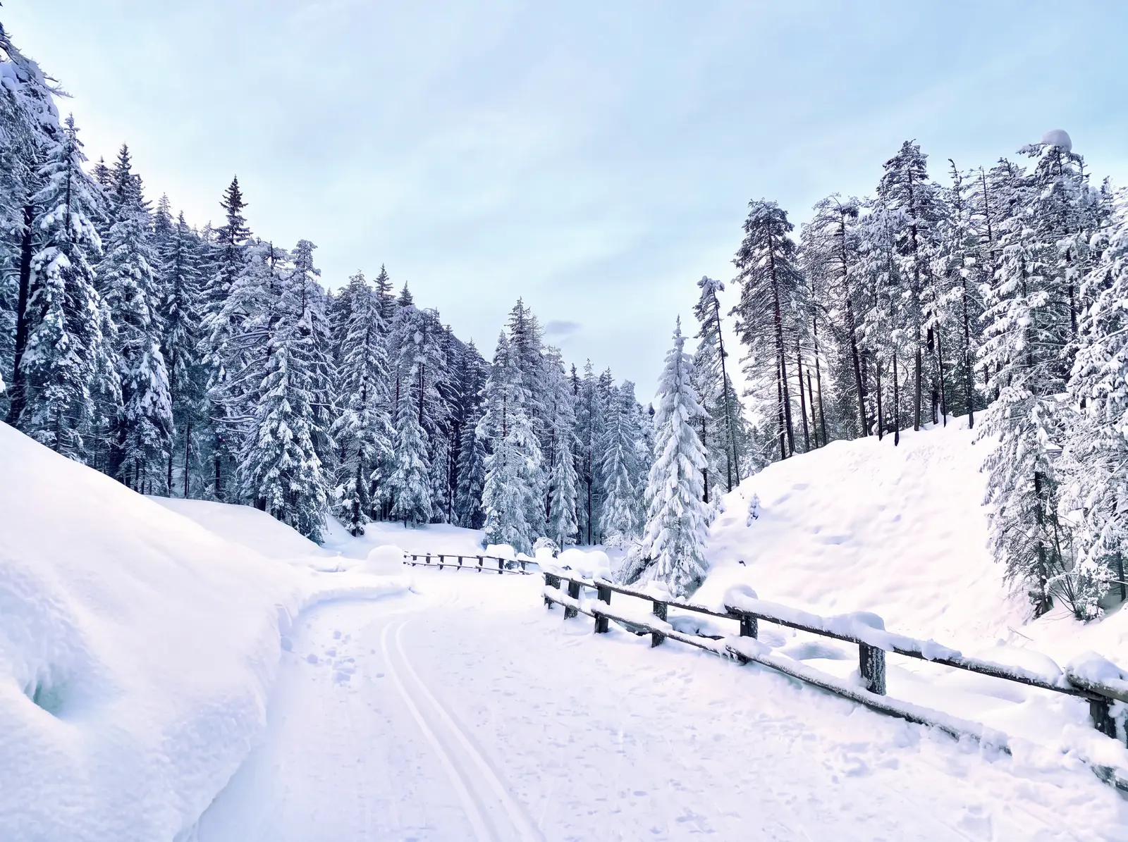 Verschneite Langlaufloipe durch den Dolomitenwald nahe St. Vigil